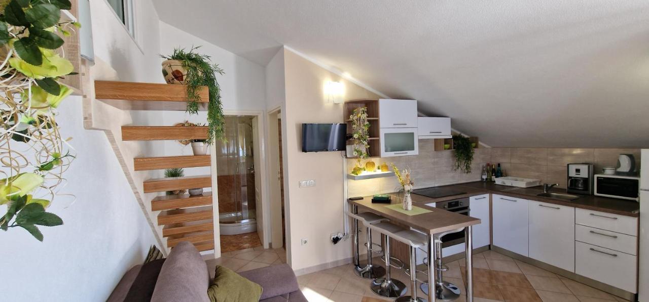 טרוגיר Apartment Panorama מראה חיצוני תמונה